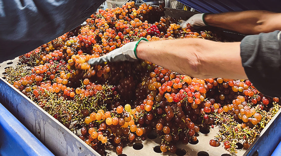 September WOTM: Picking Decisions