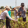 Foraging Lunch feat. Herbalist Danette Steele — June 28th