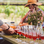 Foraging Lunch feat. Herbalist Danette Steele — June 28th