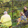 Help Us Harvest. Enjoy A Feast!