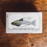 Fish Conservas