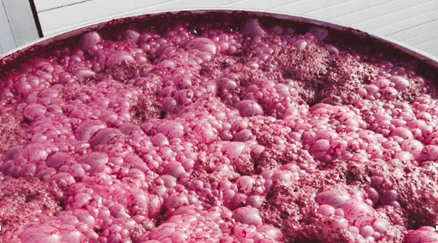 Fermentation and The Development of Flavours