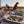 Harvest & Feast w./ Chef Charlotte Langley