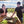 Harvest & Feast w./ Chef Charlotte Langley