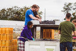 Help Us Harvest. Enjoy A Feast!