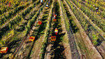Help Us Harvest. Enjoy A Feast!