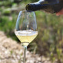 Library! — 2020 County Chardonnay